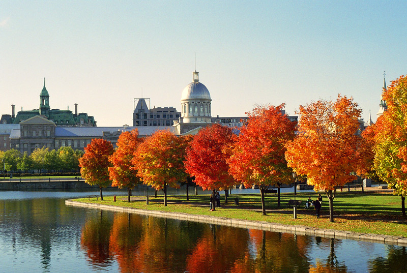 Montreal_Marche_Bonsecours_and_Foliage