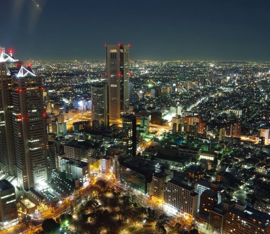 Tokyo - View from Governmental Building